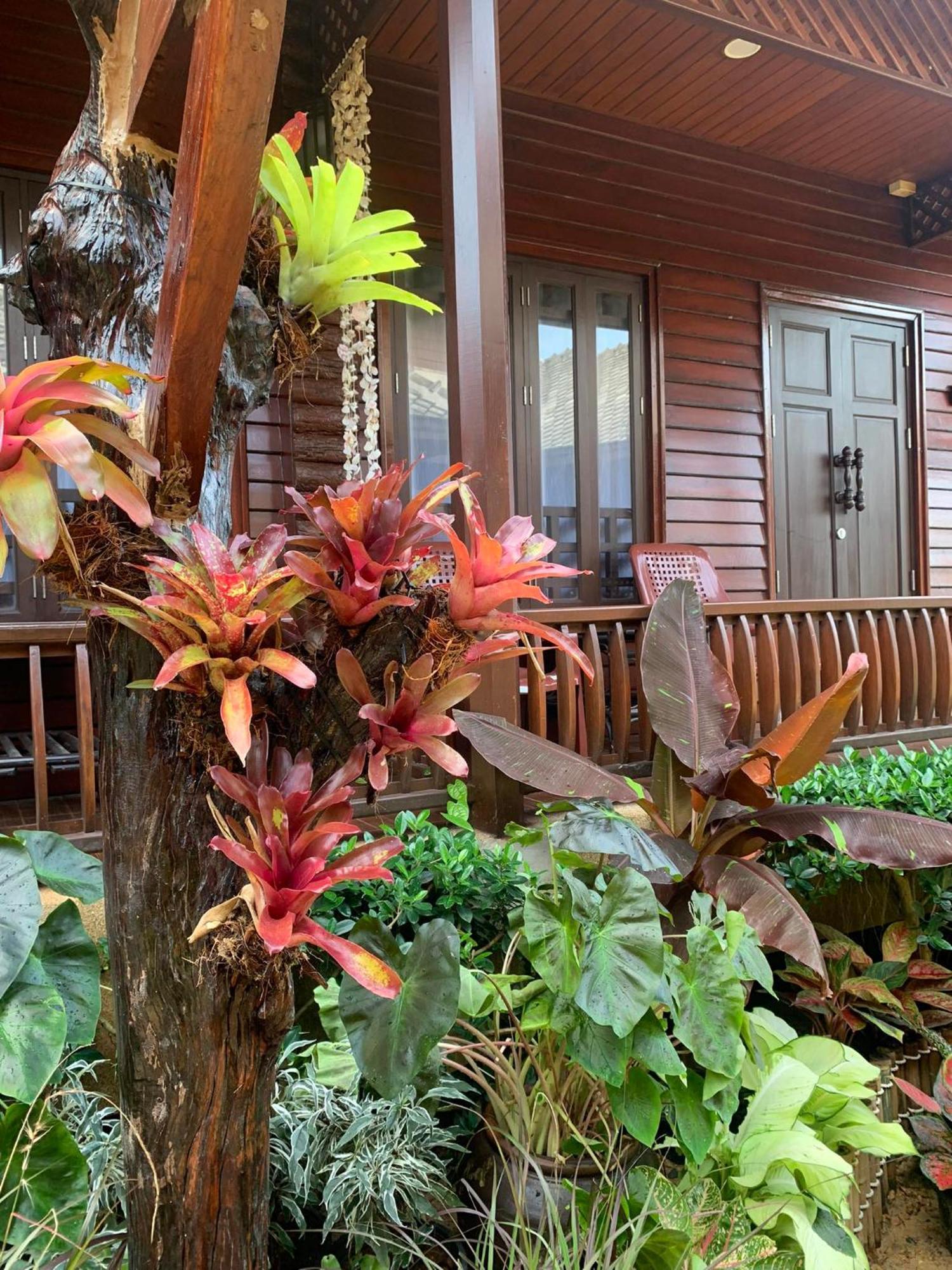 Baan Pakgasri Hideaway Hotel Koh Lanta Ngoại thất bức ảnh